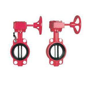 ��̖(h��o)���y